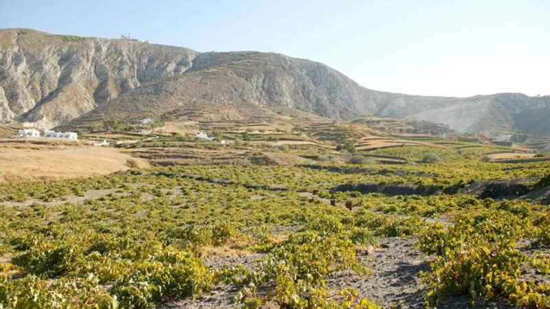 Santorini: Guided Highlights Tour With Private Wine Tasting - Accessibility Considerations