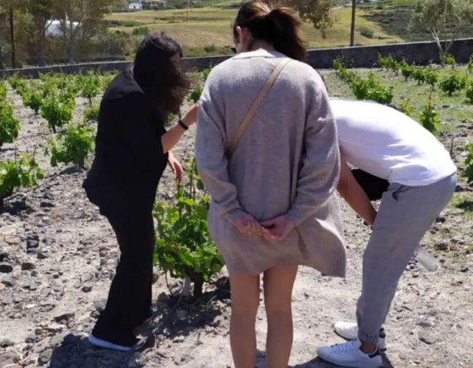 Santorini: Guided Highlights Tour With Private Wine Tasting - Exclusions and Extras