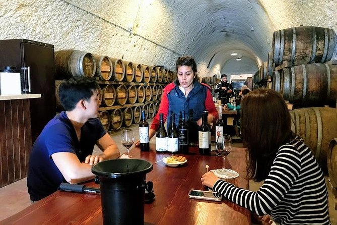 Santorini Half Day Wine Tasting & Winery Tour With Pickup - Discovering Santorinis Wineries