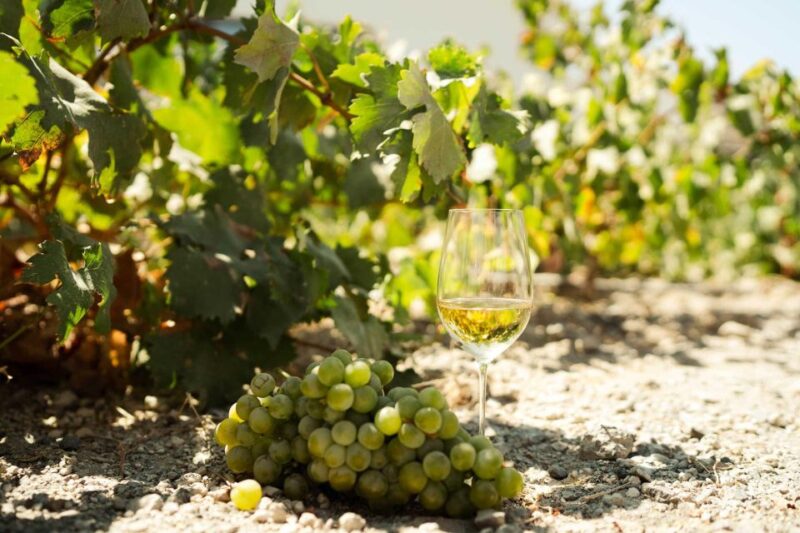 Santorini: Highlights Prive Tour & Wine Tasting-Local Guide - Winery and Wine Tasting