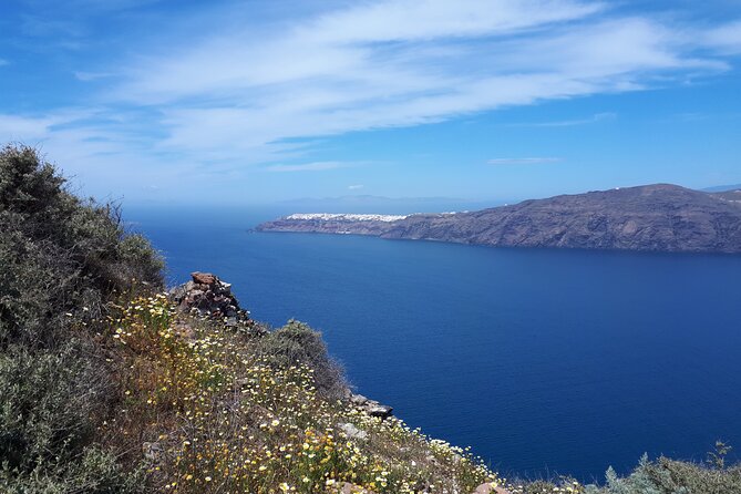 Santorini Highlights& Wine Tasting Private Tour - Accessibility and Participation