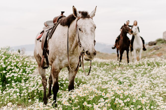 Santorini: Horse Riding on the Caldera Cliff - Suitability and Accessibility