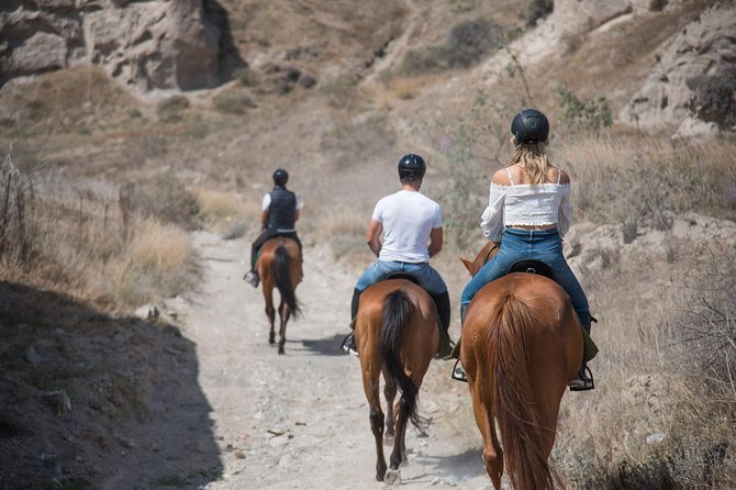 Santorini Horse Riding to Black Sandy Beach - Physical Fitness and Cancellation Policy