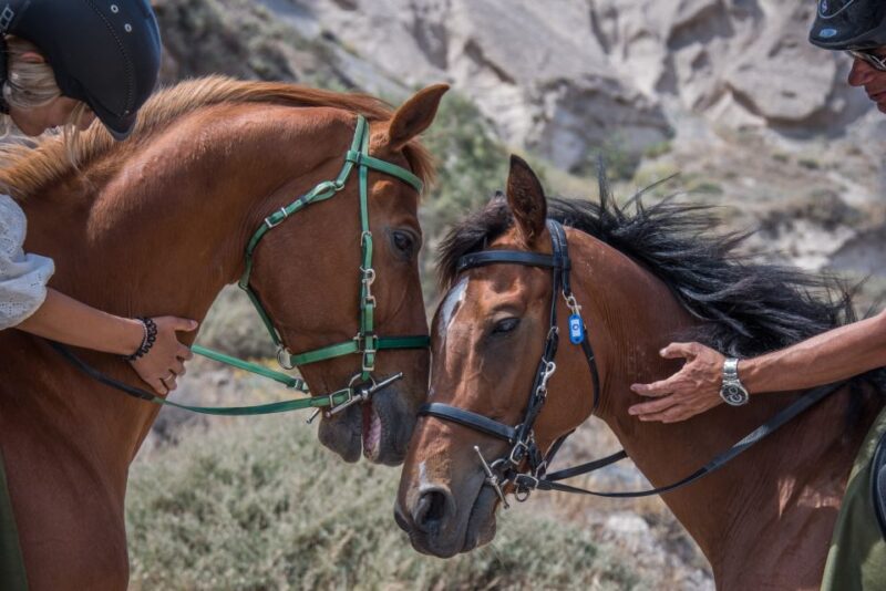 Santorini: Horse Riding Trip to Black Sandy Beach - Vlichadas Magical Fields