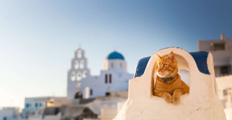 Santorini: Instagram Highlights Tour With a Photographer - Experience Highlights