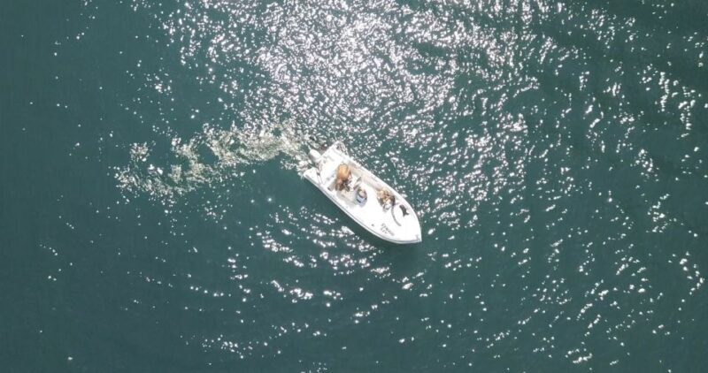 Santorini: License-Free Boat Rental With Snorkeling Gear - Key Points