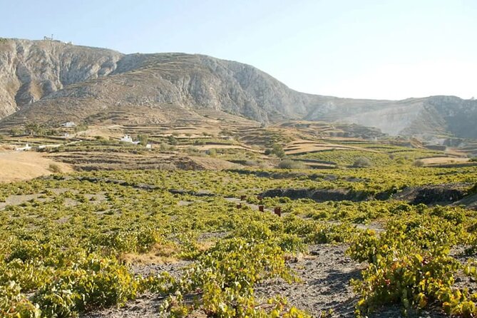 Santorini: Must-See & Winery Visit Private Tour - Santorini Highlights