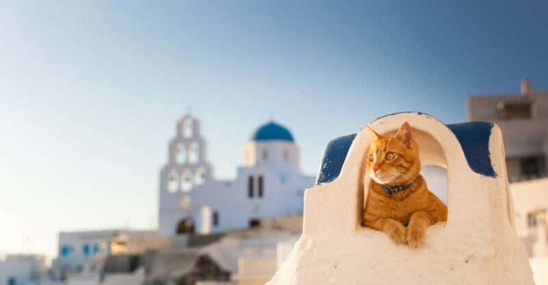 Santorini: Private 4-Hour Chauffeur Service - Inclusions of the Service