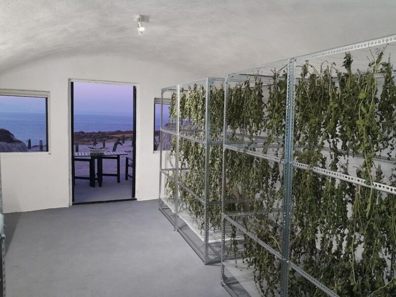 Santorini: Private Agri-Educational Visit to an Organic Farm - Tour Highlights