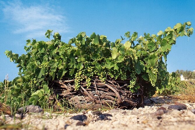 Santorini Private Highlights Tour & Wine Tasting With Local Guide - Pickup Information