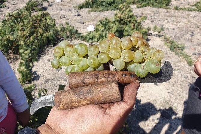 Santorini Private Highlights Tour & Wine Tasting With Local Guide - Iconic Santorini Locations