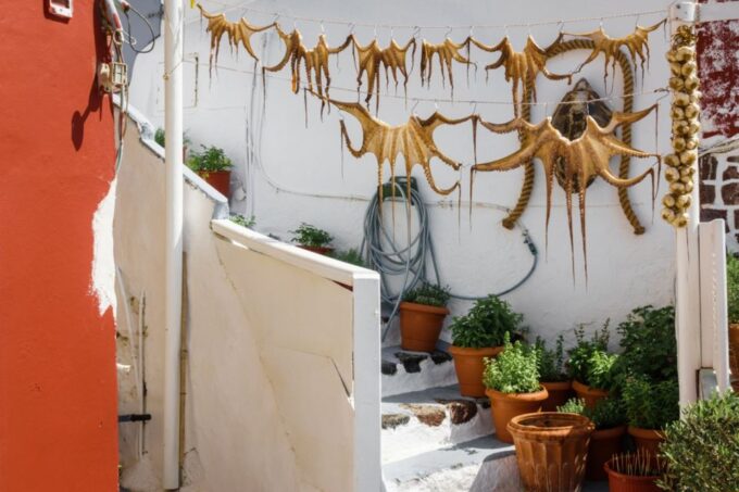 Santorini: Private off the Beaten Path Tour Inc. Tastings - Logistical Details