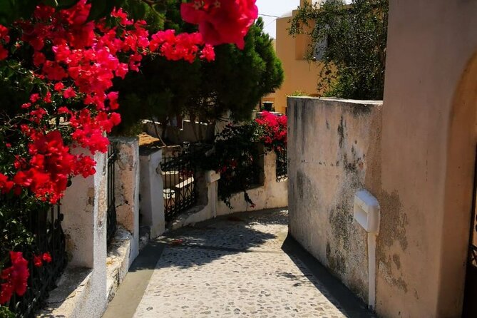 Santorini Private Tour Highlights 6h for Groups and Families - Private Transportation