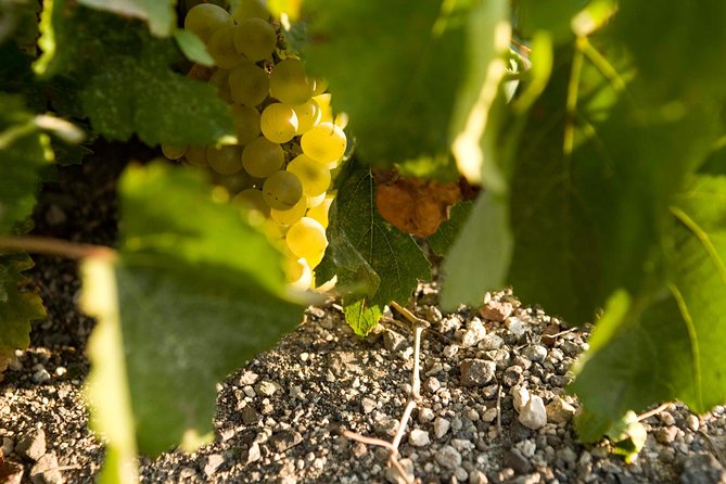 Santorini Private Wine and Food Tour - Included Features
