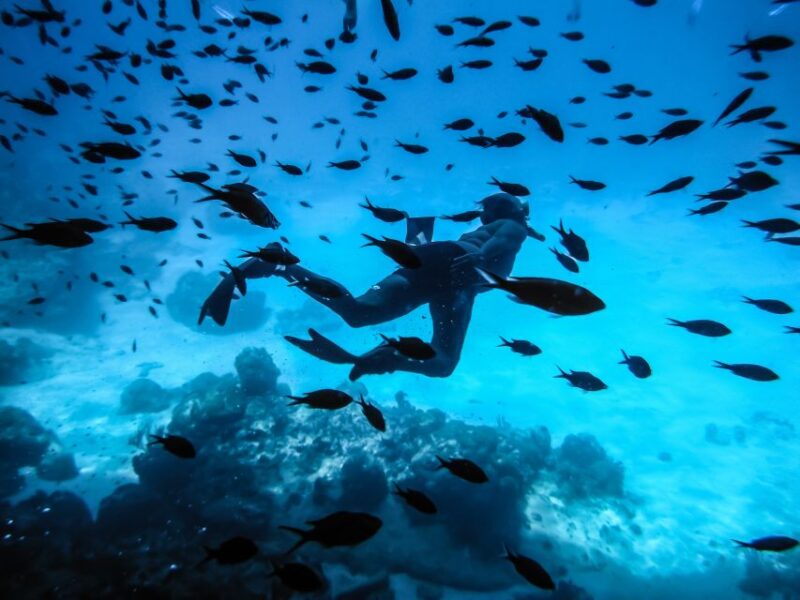 Santorini: Scuba Diving Experience for Beginners - Inclusions and Exclusions