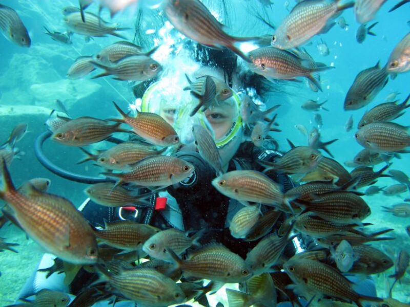 Santorini: Scuba Diving Experience for Beginners - Meeting Point and Directions