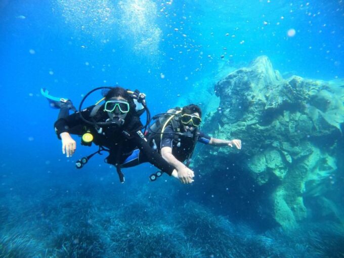 Santorini: Scuba Diving Experience in the Volcanic Caldera - Experiencing the Marine Life