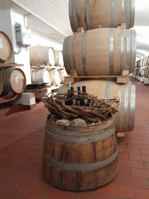 Santorini Shore Excursion - Half Day Wine Tour - Highlights of the Excursion