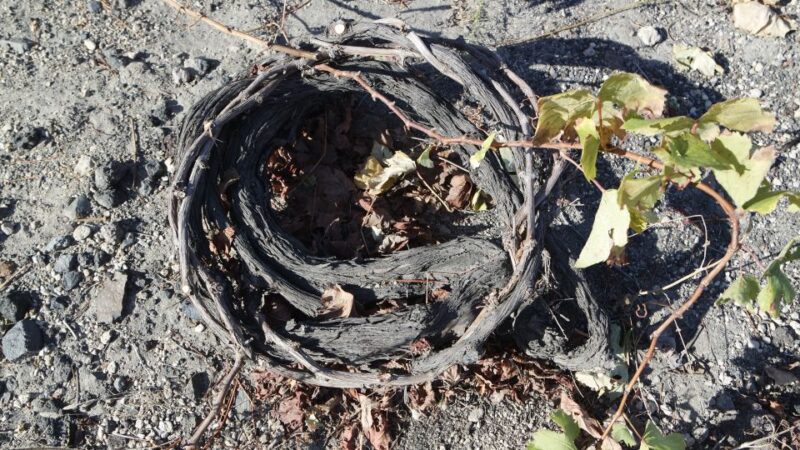 Santorini: Small Group Tour of 3 Local Wineries - Highlights