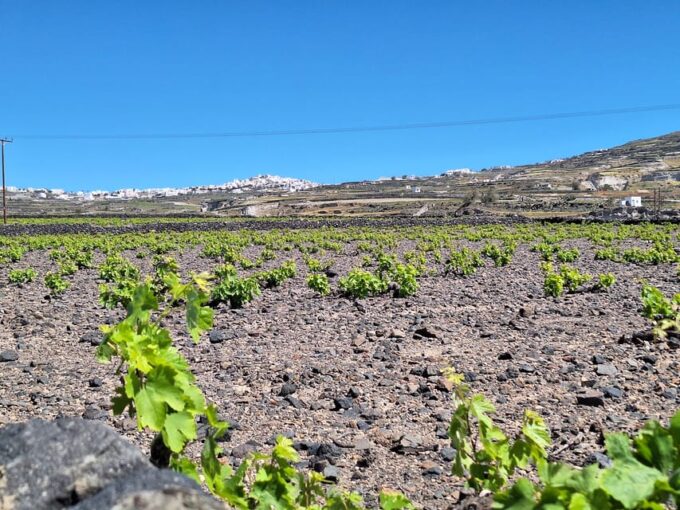 Santorini: Three Villages and Three Castles Hiking Tour - Inclusions