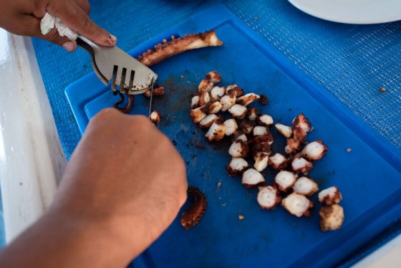 Santorini: Traditional Fishing Trip and Fresh Fish Lunch - Inclusions and Whats Provided