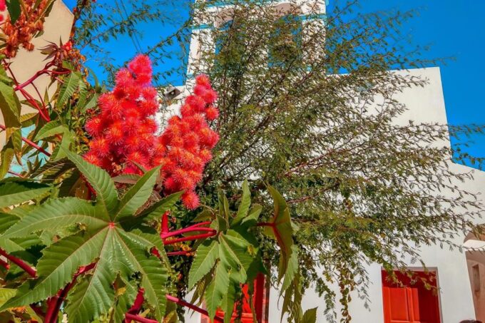 Santorini: Traditional Sightseeing Bus Tour With Oia Sunset - Port Access
