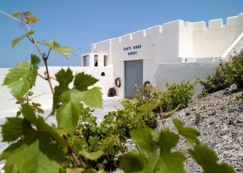 Santorini Vegan Food & Wine Tour - Key Points