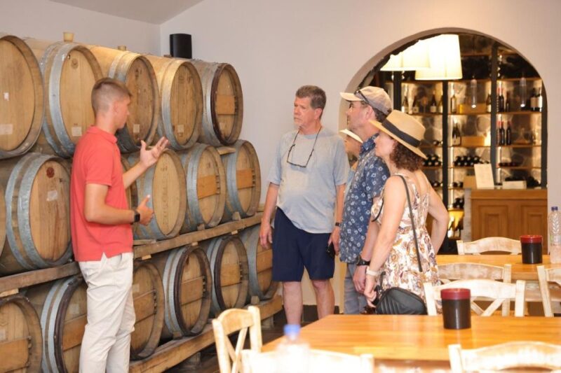 Santorini: Vineyard and Winery Tour With Cooking Class - Highlights of the Experience