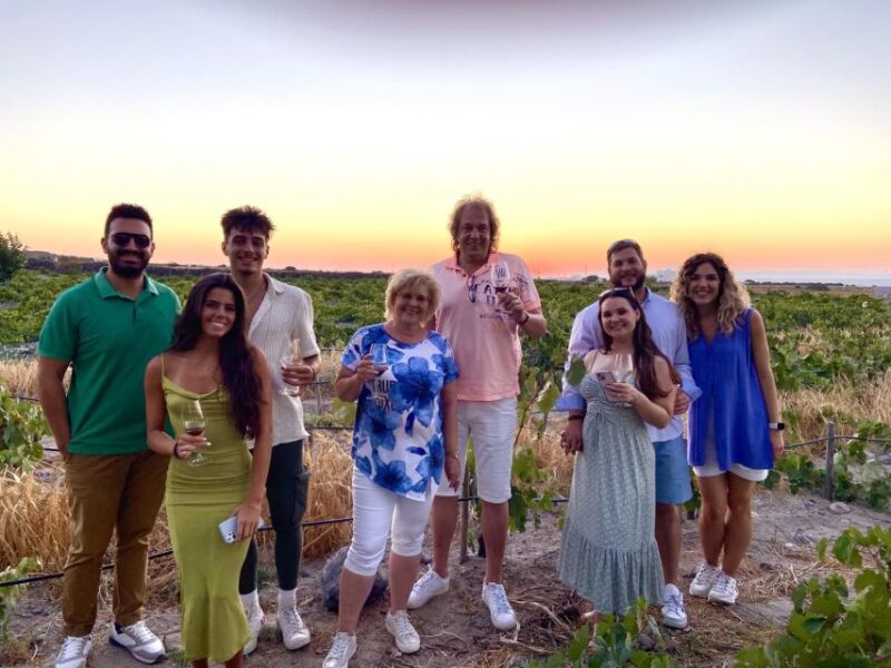 Santorini: Vineyard and Winery Tour With Cooking Class - Cooking Class and Meal