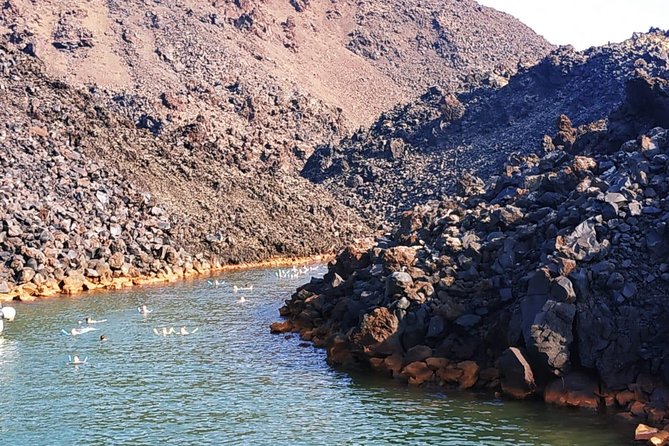 Santorini Volcanic Islands Cruise: Volcano, Hot Springs and Thirassia - Negative Traveler Experiences