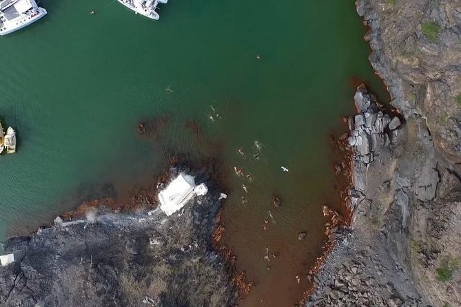 Santorini Volcano Tour - Traveler Experiences and Reviews