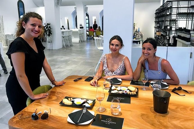 Santorini Wine and Food Experience With Pick up - Additional Information