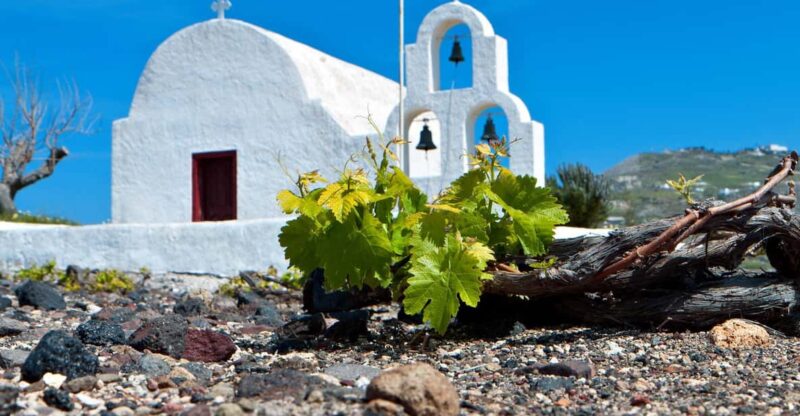 Santorini Wine Experience: Sunset Tour - Tour Highlights