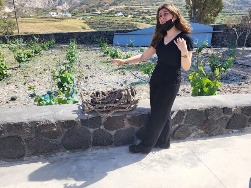 Santorini Wine Experience - Renowned Wines of Santorini