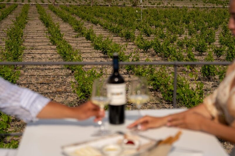 Santorini: Wine O Clock - Wine Tasting Private Tour - Experience and Highlights