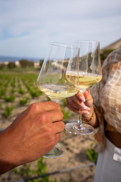 Santorini: Wine O Clock - Wine Tasting Private Tour - Participant Restrictions