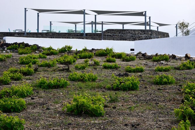 Santorini Wine Tasting and Sunset Getaway Small Group Tour - Inclusions and Logistics