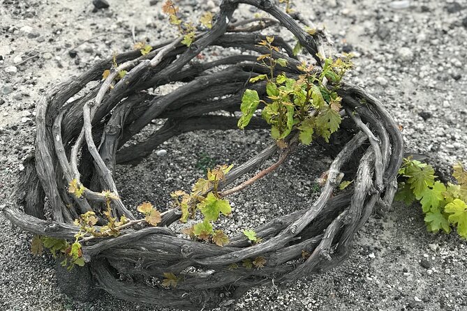 Santorini Wine Tasting and Traditional Cave Settlement Tour - Booking Information and Policies