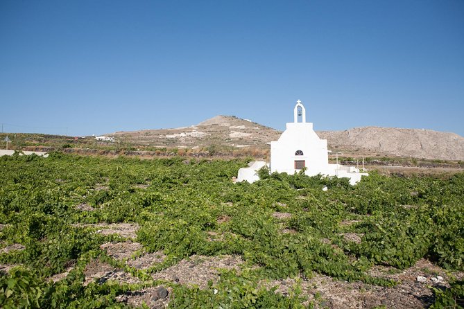 Santorini Wine Tour: Taste 12 Best Wines & 3 Beers With Pairings - Recommendations