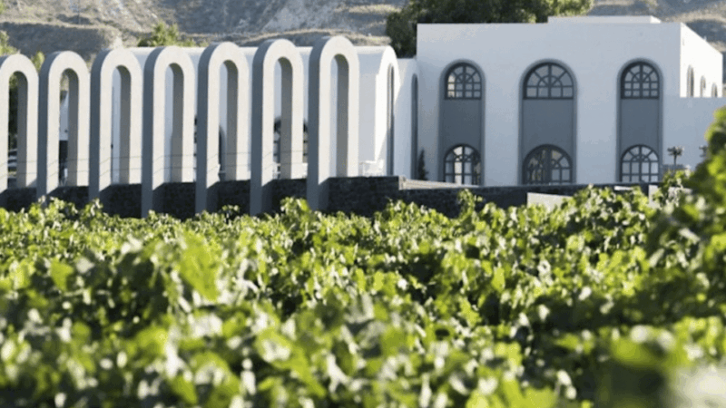 Santorini: Wine Tour With Museum Visit & 3 Wine Tastings - Key Points