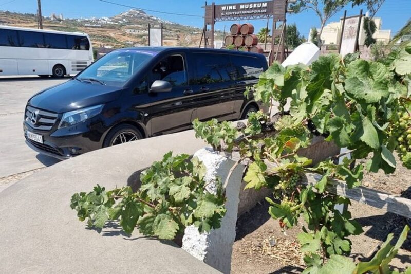 Santorinis Wine Roads: Wine Tasting Tour at 3 Wineries - Key Points