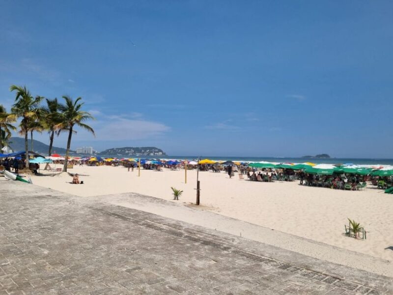 Santos & Guaruja: 8 Hour Beach Tour Starting in Sao Paulo - Key Points