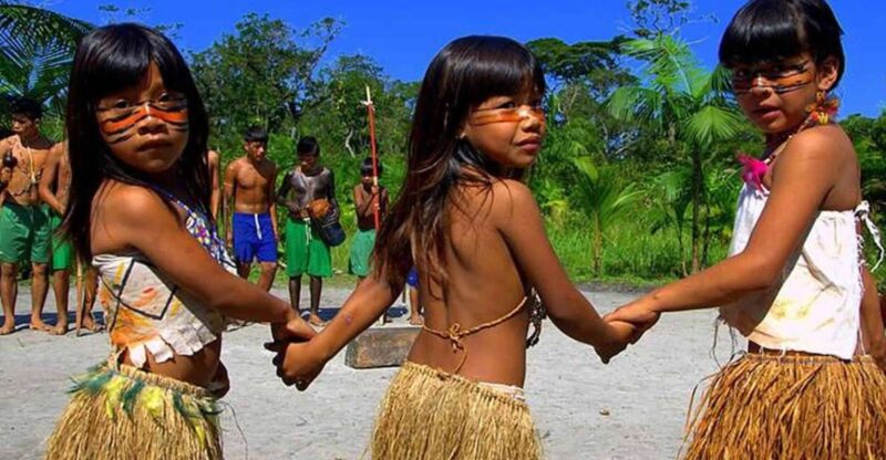 Santos Shore Excursion: Rain Forest and Indian Reserve - Tour Itinerary