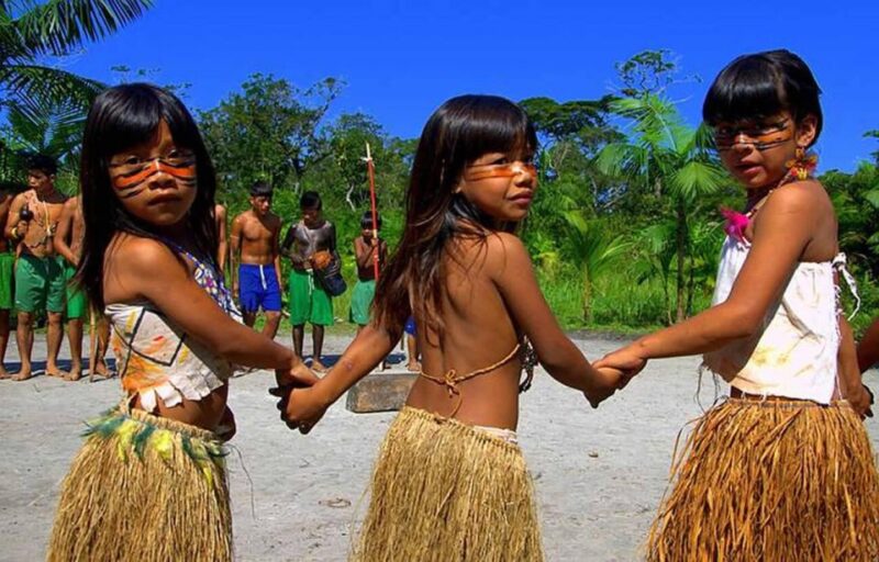 Santos Shore Excursion: Rain Forest and Indian Reserve - Inclusions and Exclusions