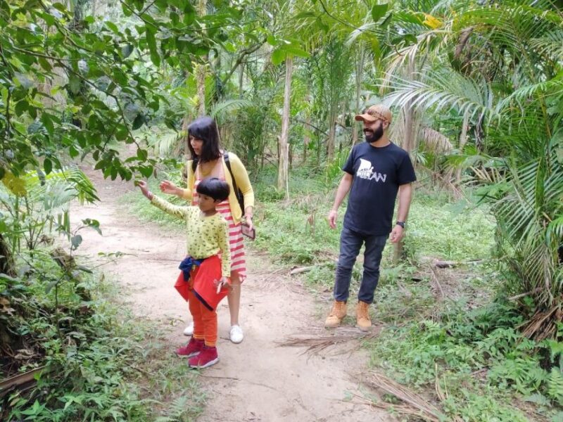 Santos Shore Excursion: Rain Forest and Indian Reserve - Coastal Road to Environmental Protection Area