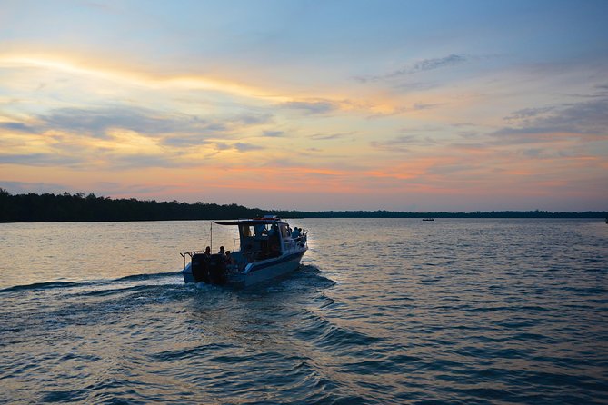 Santubong River Mangrove and Dolphin-Watching Cruise  - Kuching - Key Points