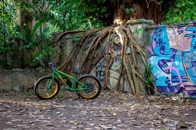 Sanur Beach Ebike Private Tour - Requirements and Recommendations