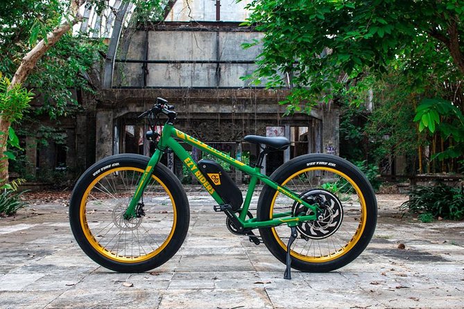 Sanur Beach Ebike Private Tour - Tour Highlights