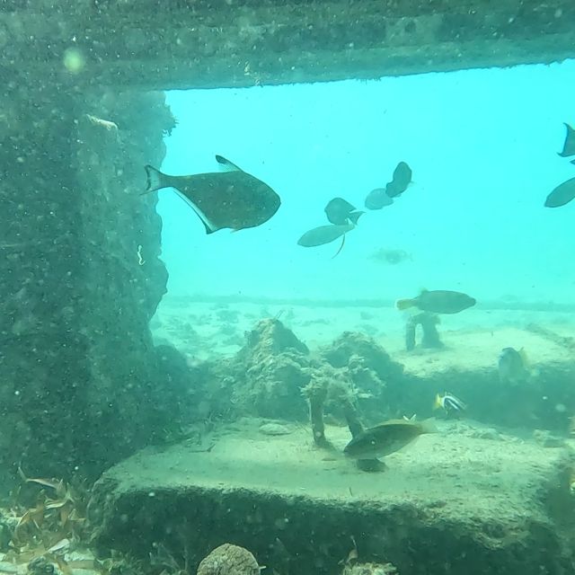 Sanur: Coastal Area Snorkeling Session - Key Points