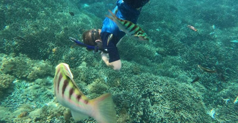 Sanur: Coastal Area Snorkeling Session - Itinerary Details